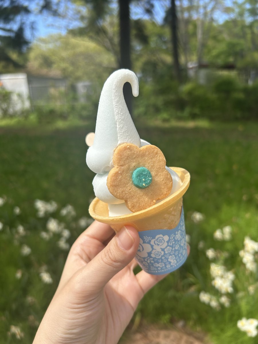 ひたち海浜公園でのお写真たち🫶
菜の花とチューリップも綺麗に咲いてました🌷
ネモフィラソフト、ラムネ味がさっぱりしてて、クッキーもサクサクでおいしかった🥰