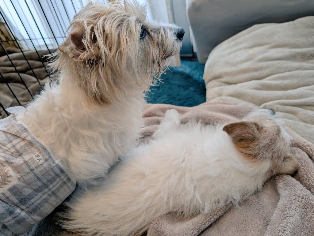 ちえこ tweet media