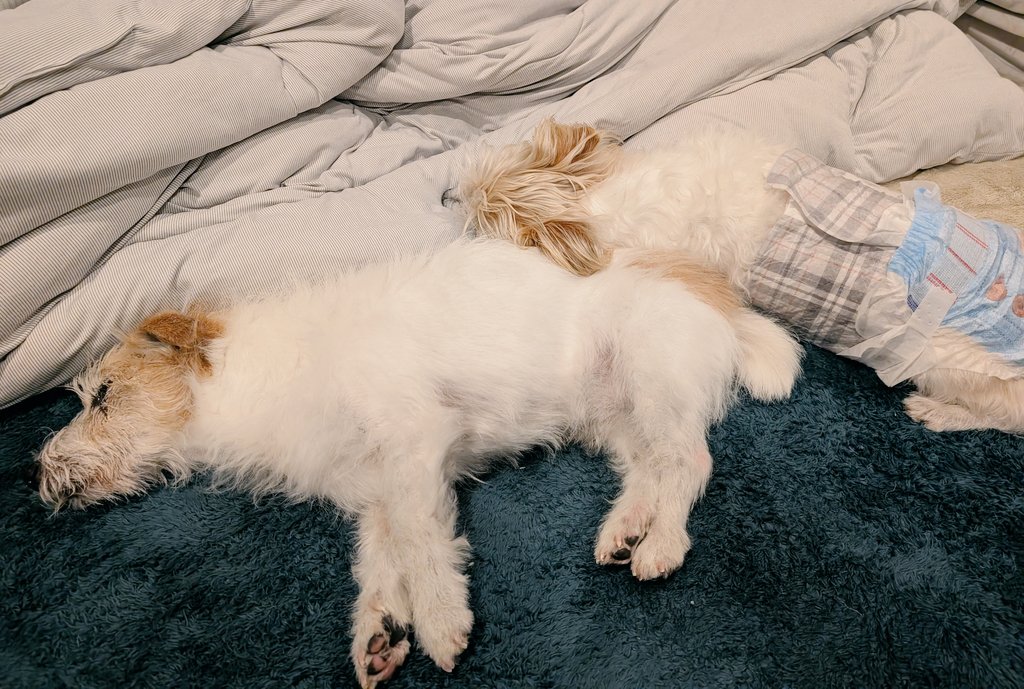 ちえこ tweet media