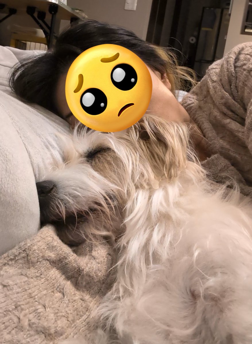 ちえこ tweet media