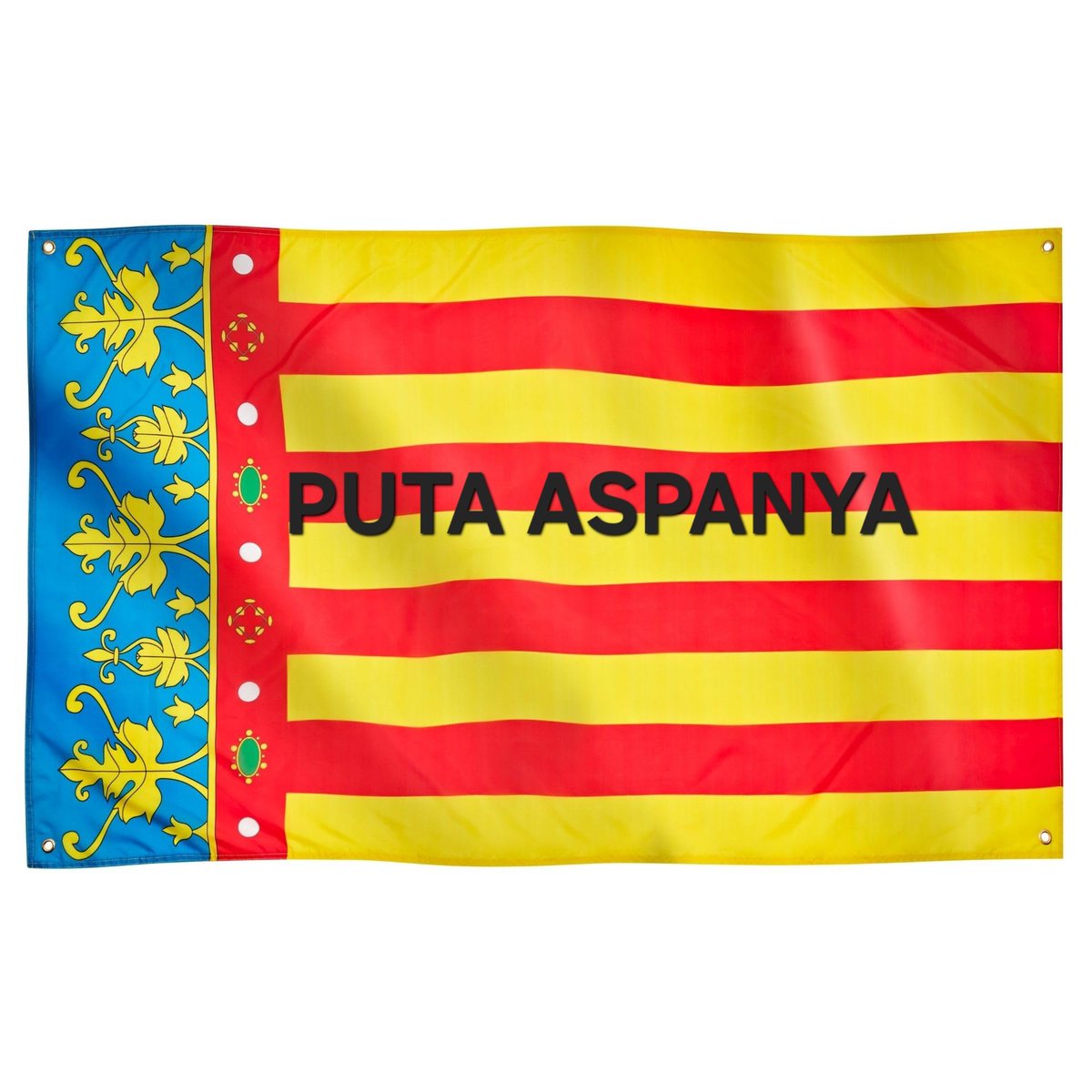 Baró d'Algirós tweet media