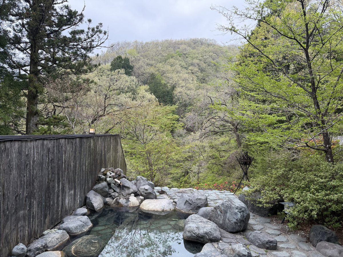 Y🧚🏻 tweet media