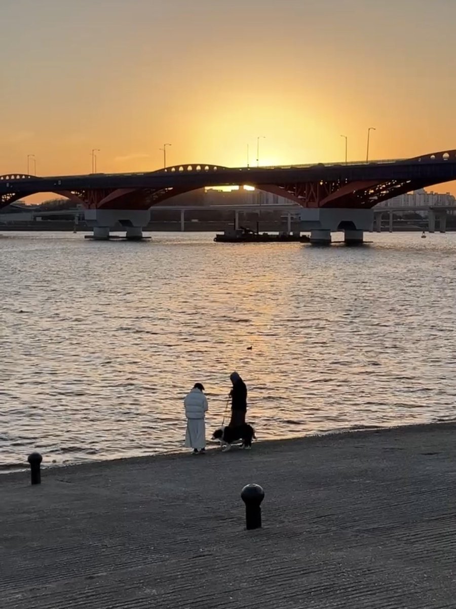 เม้าท์มอยเกาหลี tweet media