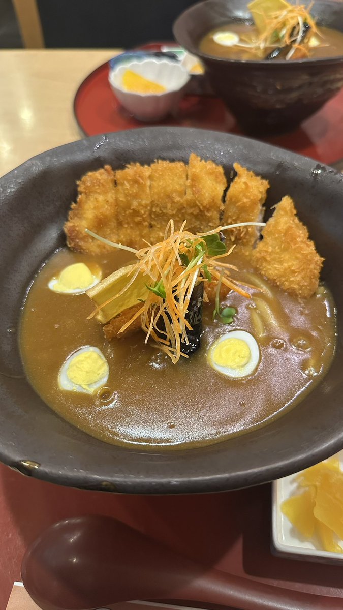 11__koki__19's tweet photo. 少しの隙間時間で、豊橋大満喫しました🤤
豊橋カレーうどんまた食べたいなぁ…… https://t.co/rJ3X9y0XJx
