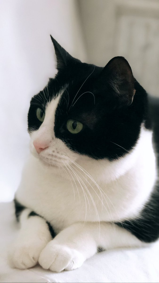 French Army_C | ⊙⊝⊜ tweet media