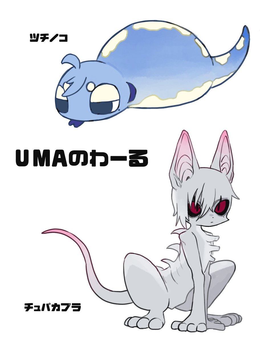 Gloria0🐾通販アンケ中 tweet media