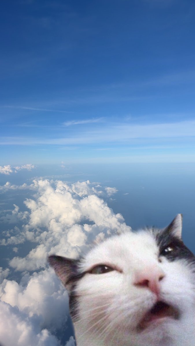 SlayerSimp00's tweet photo. Flying to Tampa with Iwazumi 🥰 https://t.co/sipKyOwFre