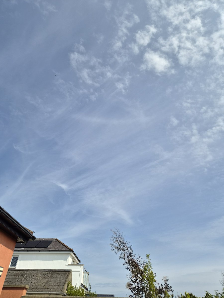 Colin McKay tweet media