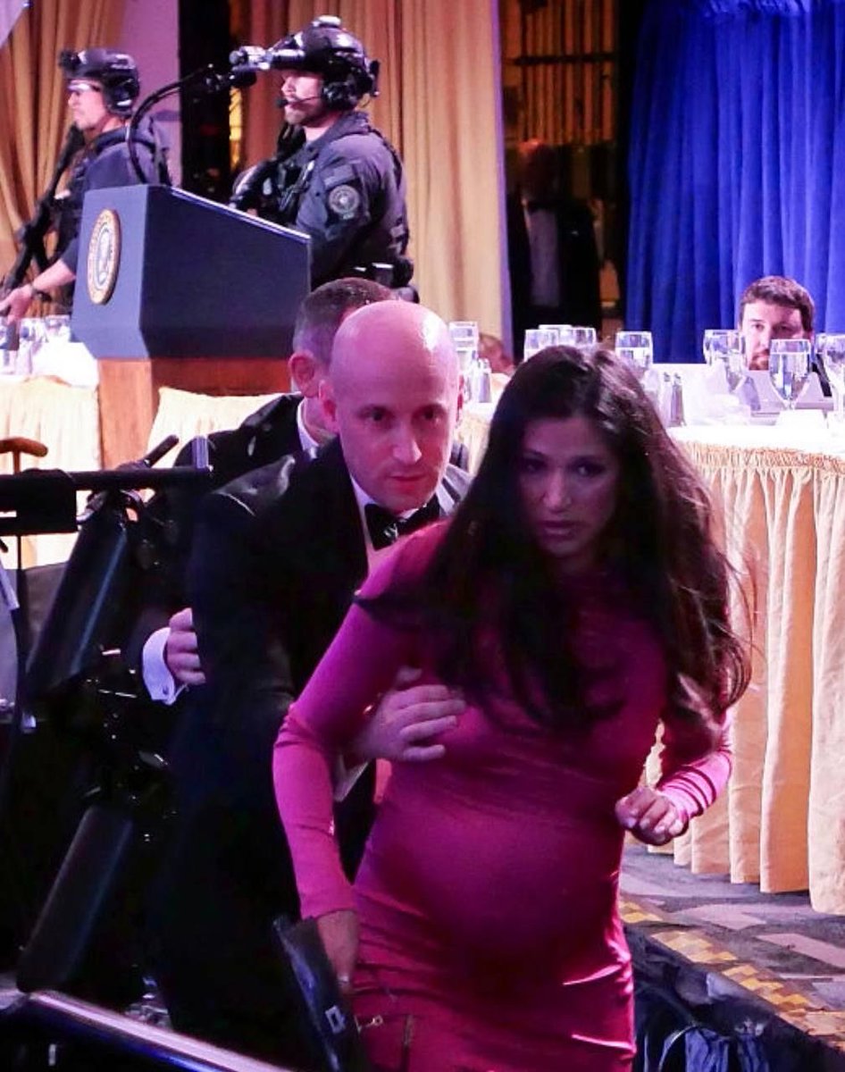 امیر فارسی 🎒 tweet media