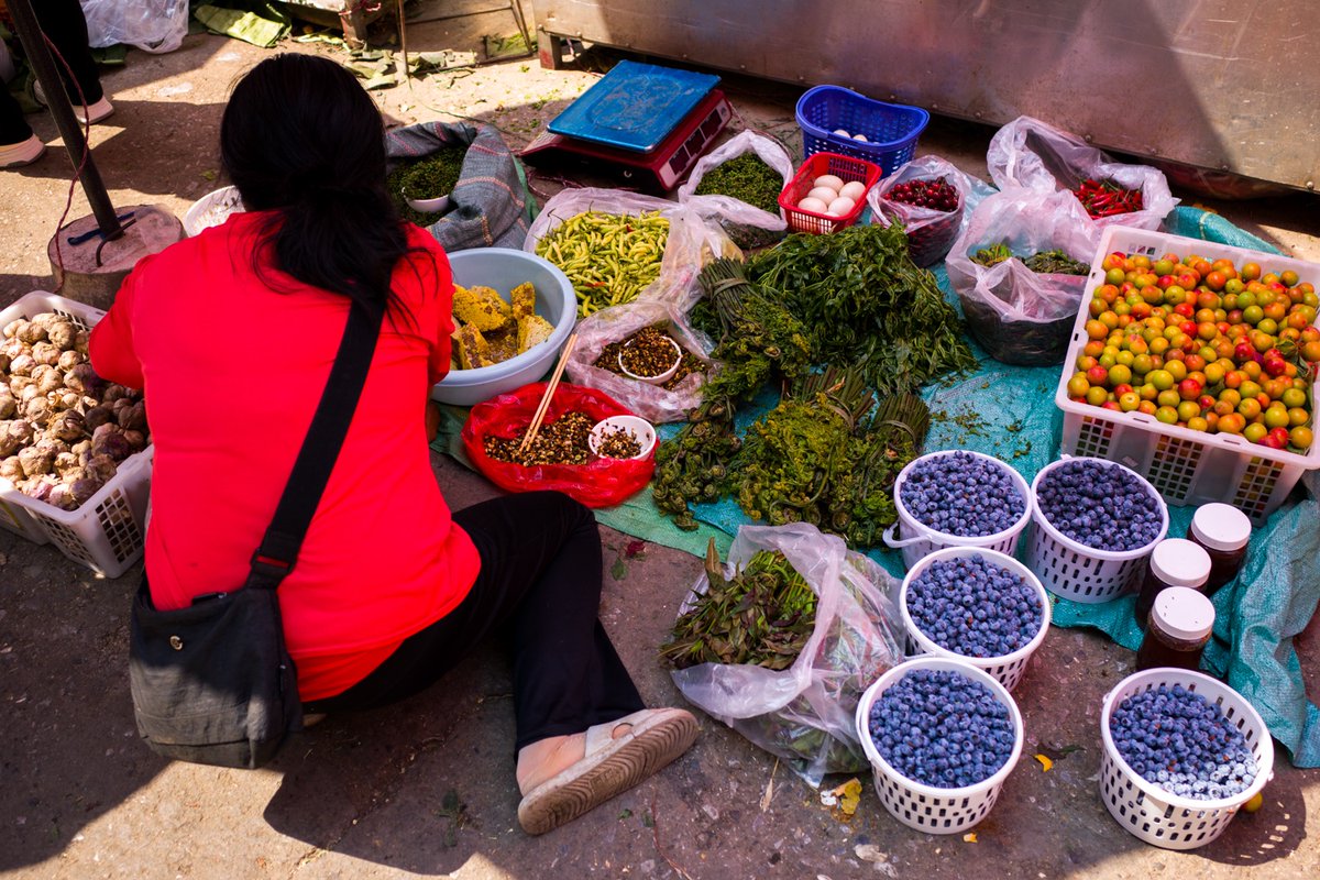 お茶の専門店HOJO tweet media