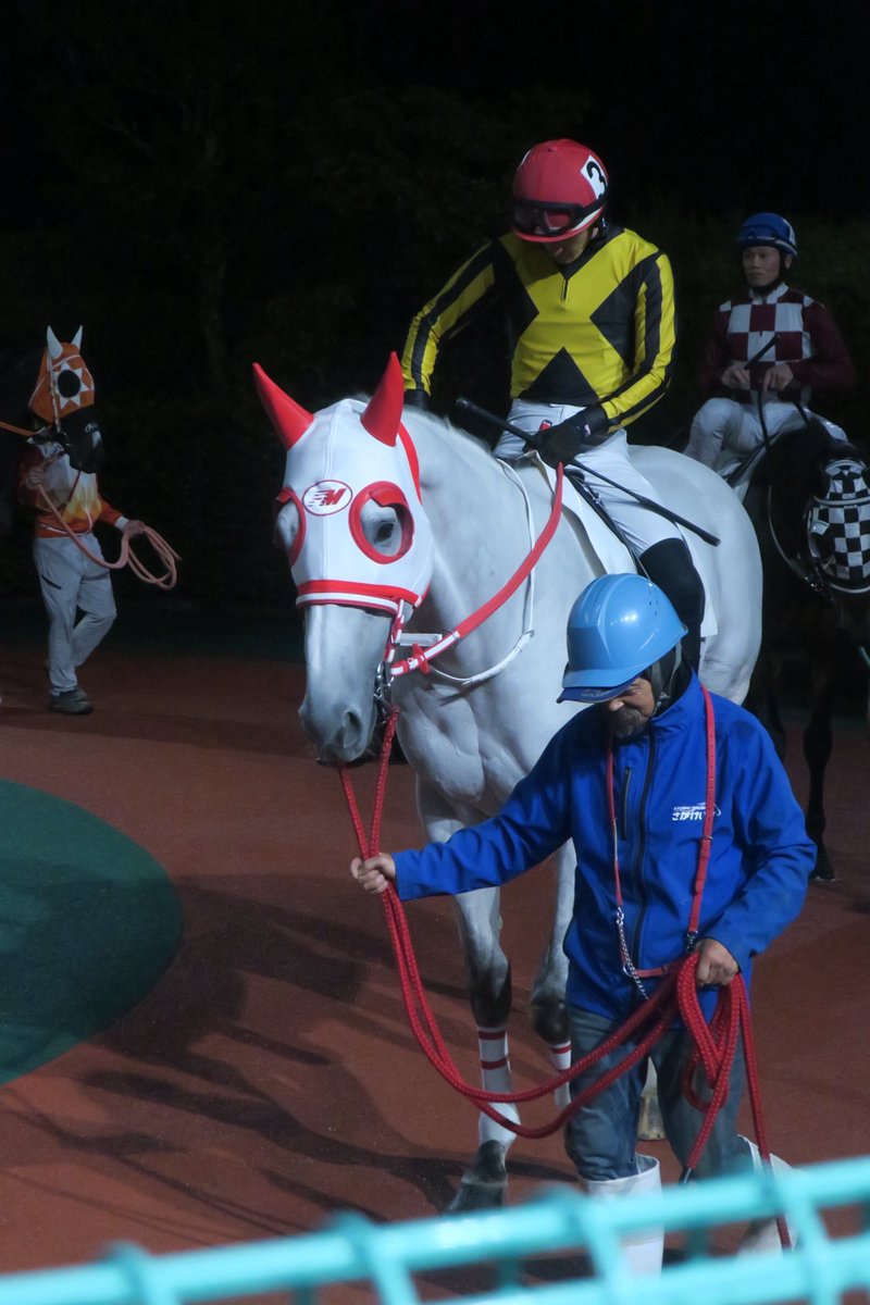 Uw9i0bhXpy42821's tweet photo. 暗闇のパドックに浮かぶ芦毛

#佐賀競馬
#ルーパステソーロ https://t.co/9KgonTnKef