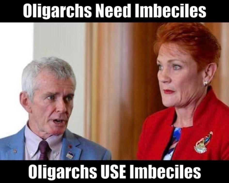 CaraMia200's tweet image. #Conservatives are engineering a dystopian coalition of grifters, swindlers &amp;amp; business rejects,to deliver our Parlmnts,into clutches of pernicious #oligarchs.
Far from treading warily in #Trump’s footsteps, they’re hellbent assisting donors swindle state coffers.#auspol #springst