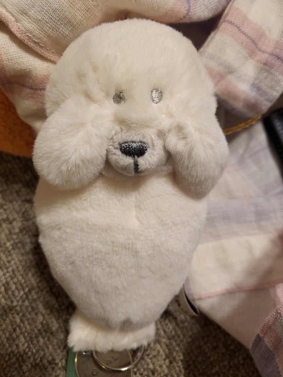 명훈쨩🐾 tweet media