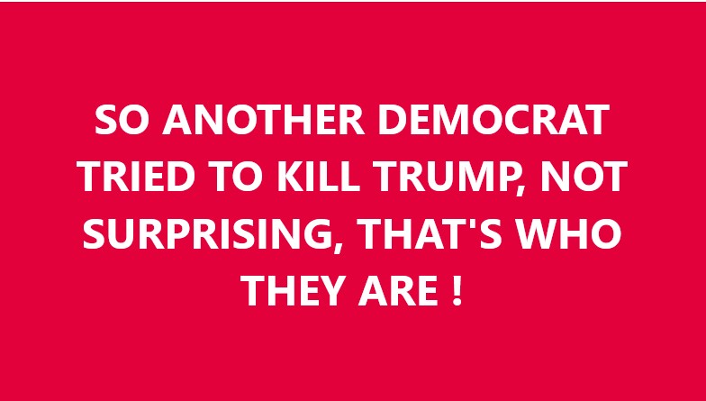 Weston Norgress tweet media