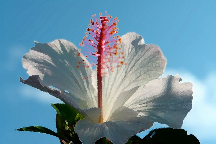 WinelineMedia's tweet photo. Art of the Day! "BiscusBlanco". Buy at: https://t.co/ixZT2vdIh7 https://t.co/tEr8hOImwD