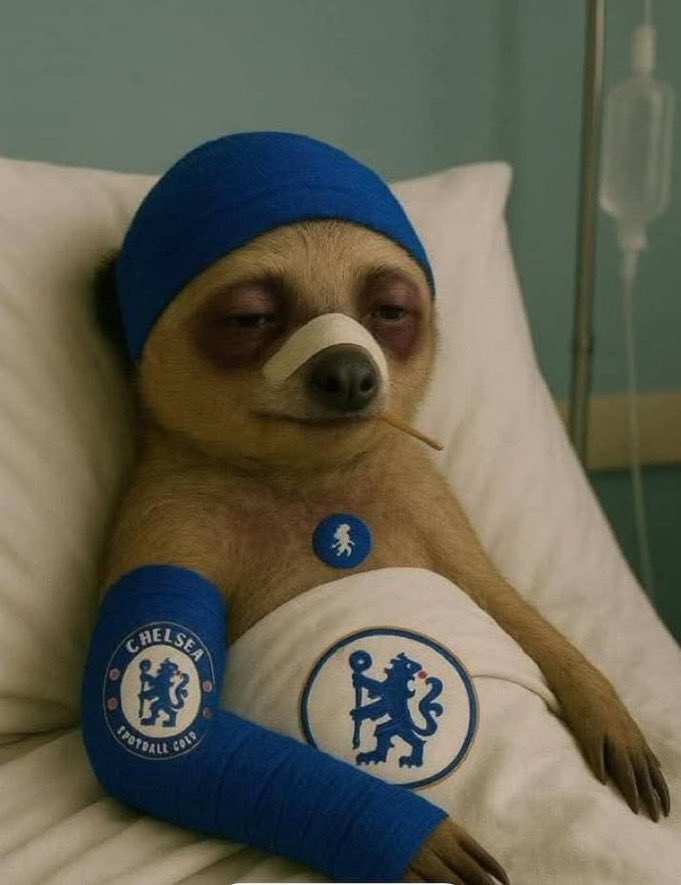 𝐁𝐀𝐒𝐄𝐄𝐓™🧃 tweet media