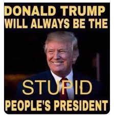 Florida Life 😎🌴🌊 tweet media