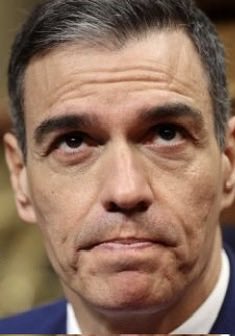 Alvaro Ellakuria ÆD tweet media