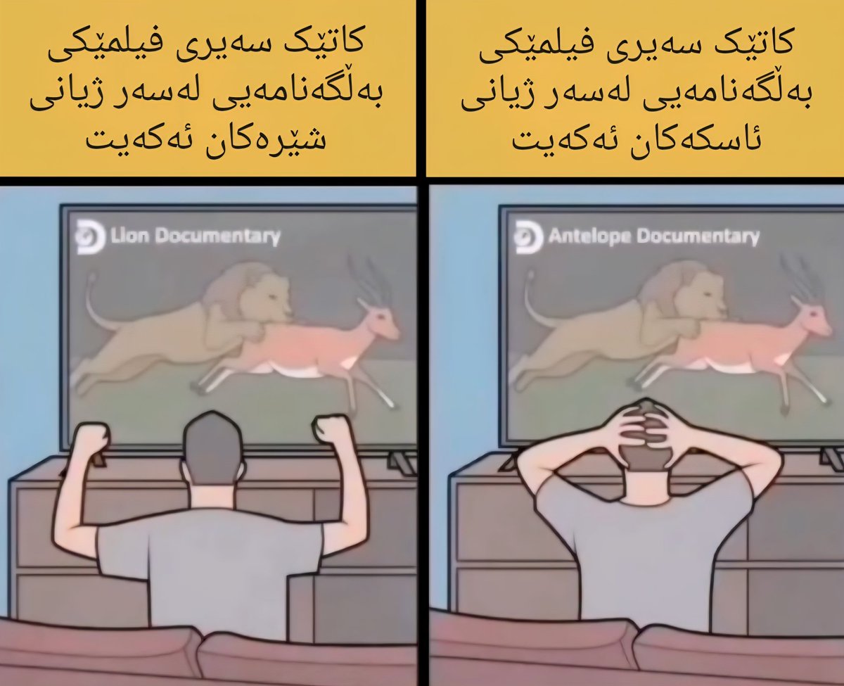 Anwar Abasi (Haras) tweet media