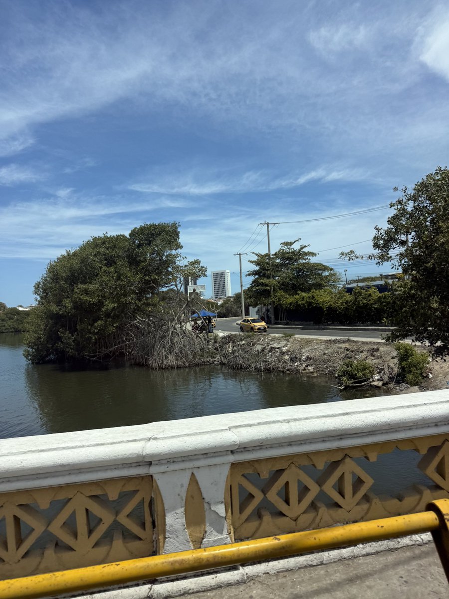 Por una Cartagena sin mangles 😢<a href="/dumek_turbay/">Dumek Turbay Paz</a> <a href="/ElUniversalCtg/">El Universal</a>