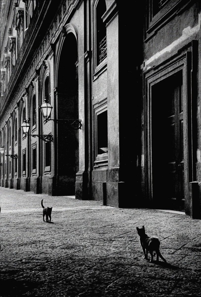 goldenshepard's tweet image. SELF-BELIEF 🥰 is our GREATEST 🤙🏽 foundation as the UNIVERSE 💫 honors this vibration❗️ #universe #vibration #lifehack #SundayVibez #SundayWisdom