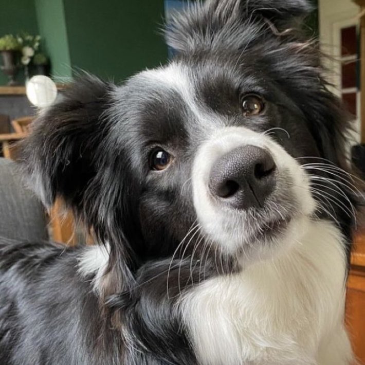 F ☁️ tweet media