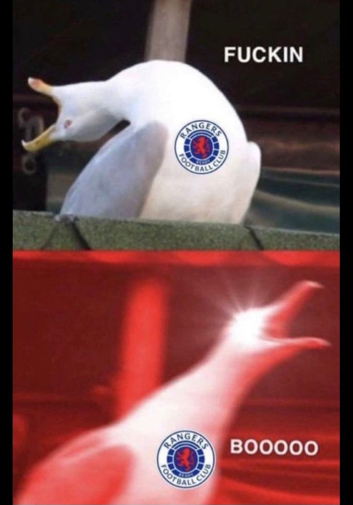 The Honest Celt🇻🇦 tweet media
