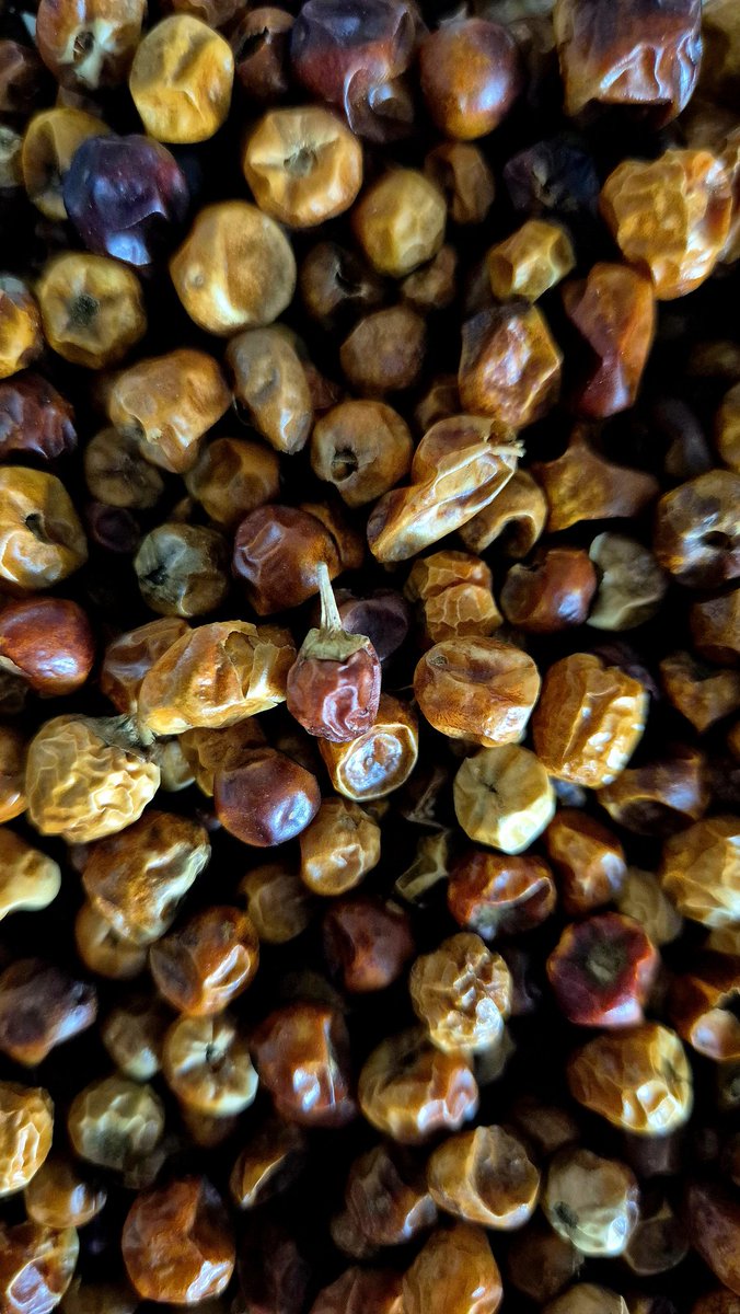 Lorenzo García Guerra tweet media