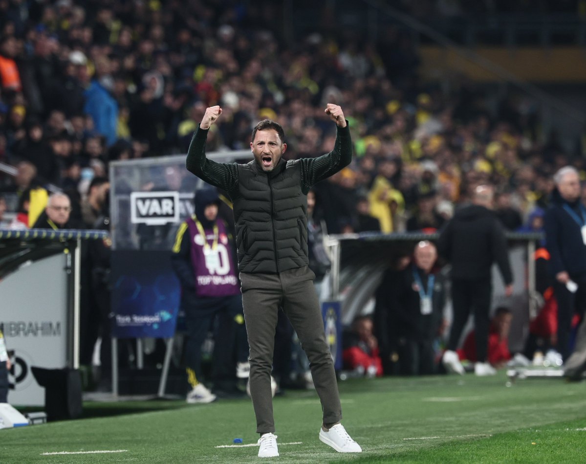 Yiğit Yılmaz 🛶 tweet media