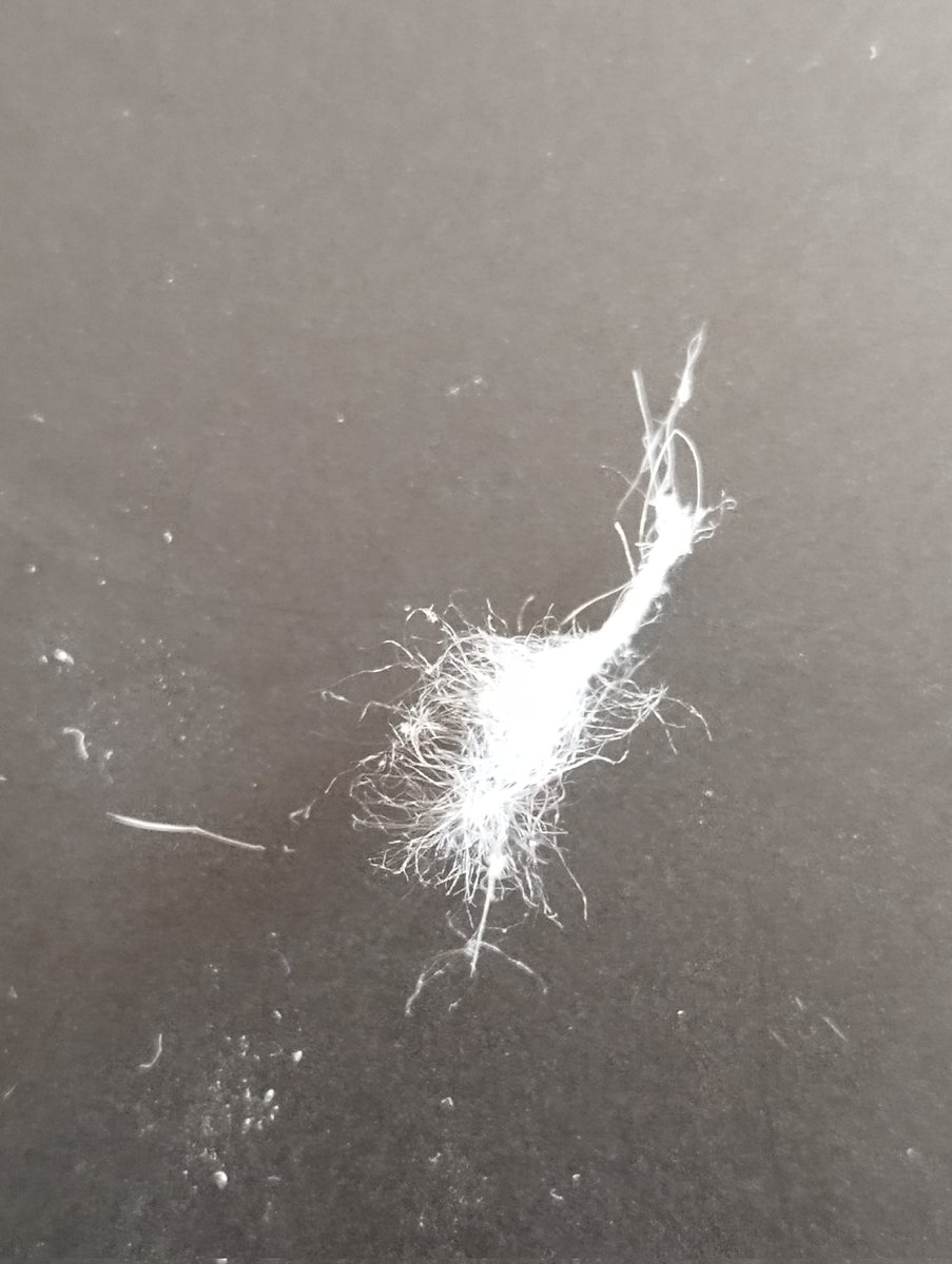 El hombre muerto. tweet media