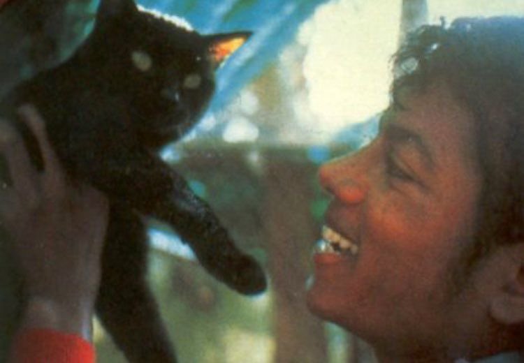 i hate bald heads tweet media