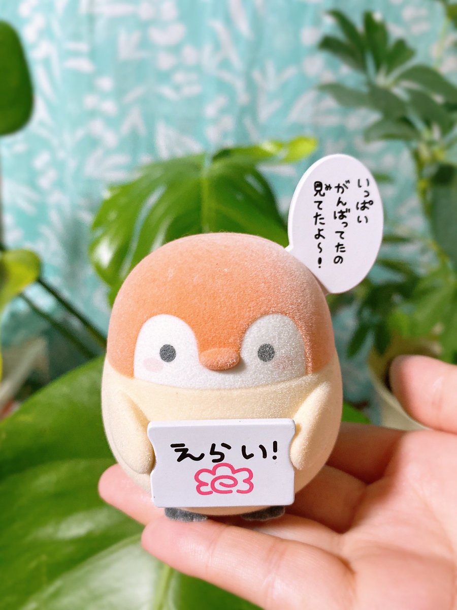 いろ tweet media