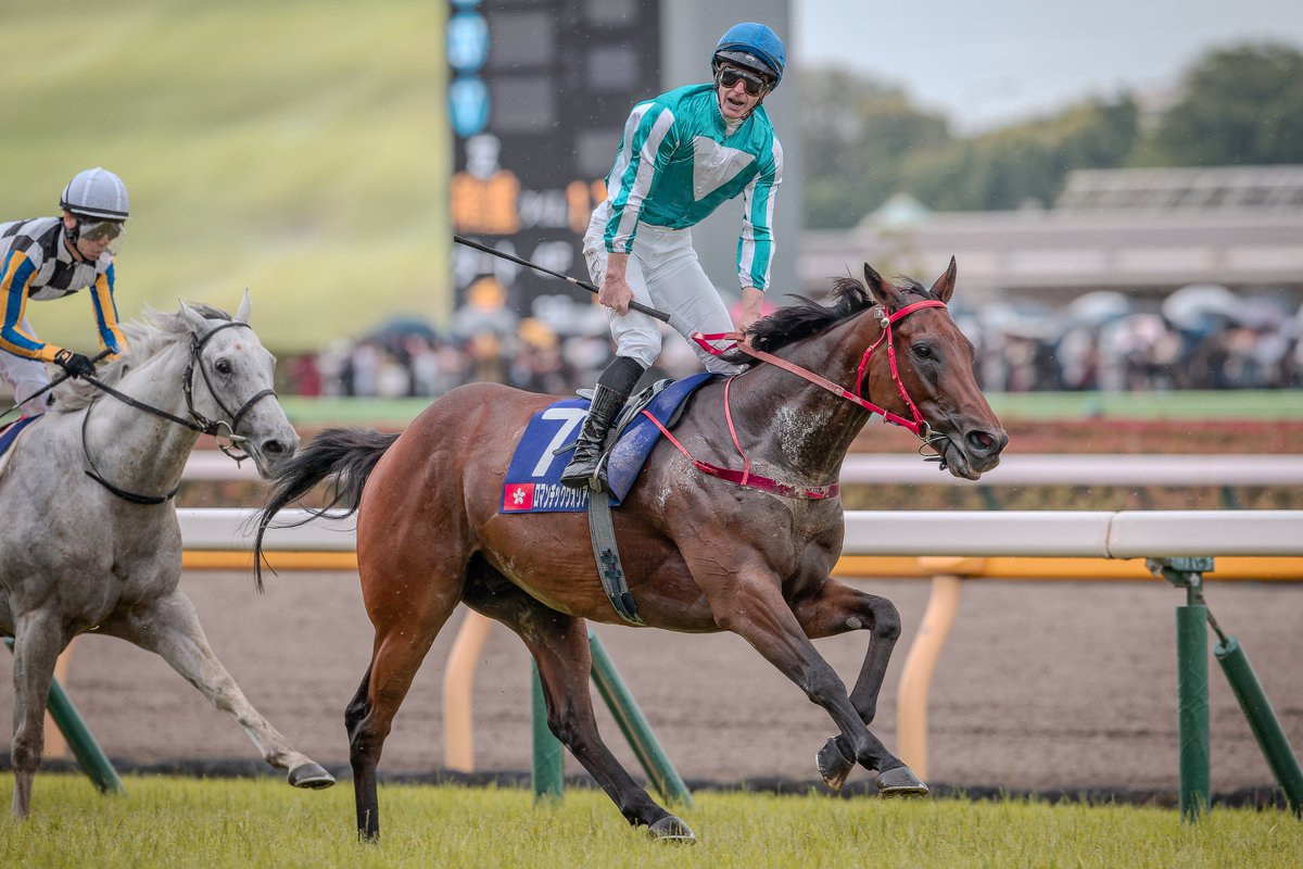 競馬インフォメーションクラブ(個人で運営) tweet media
