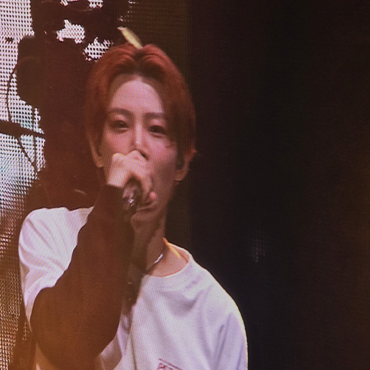 티트리 tweet media