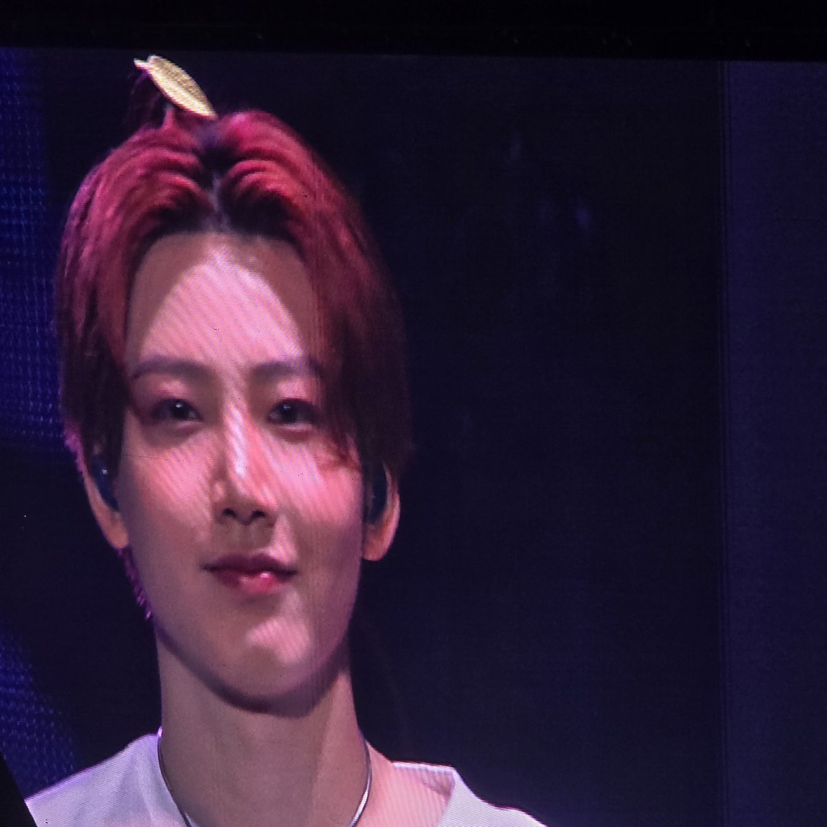 티트리 tweet media