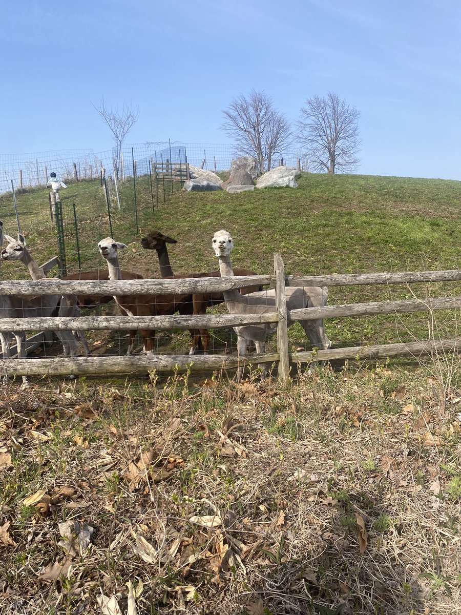 あおゆず｜AIを改造するパパ tweet media