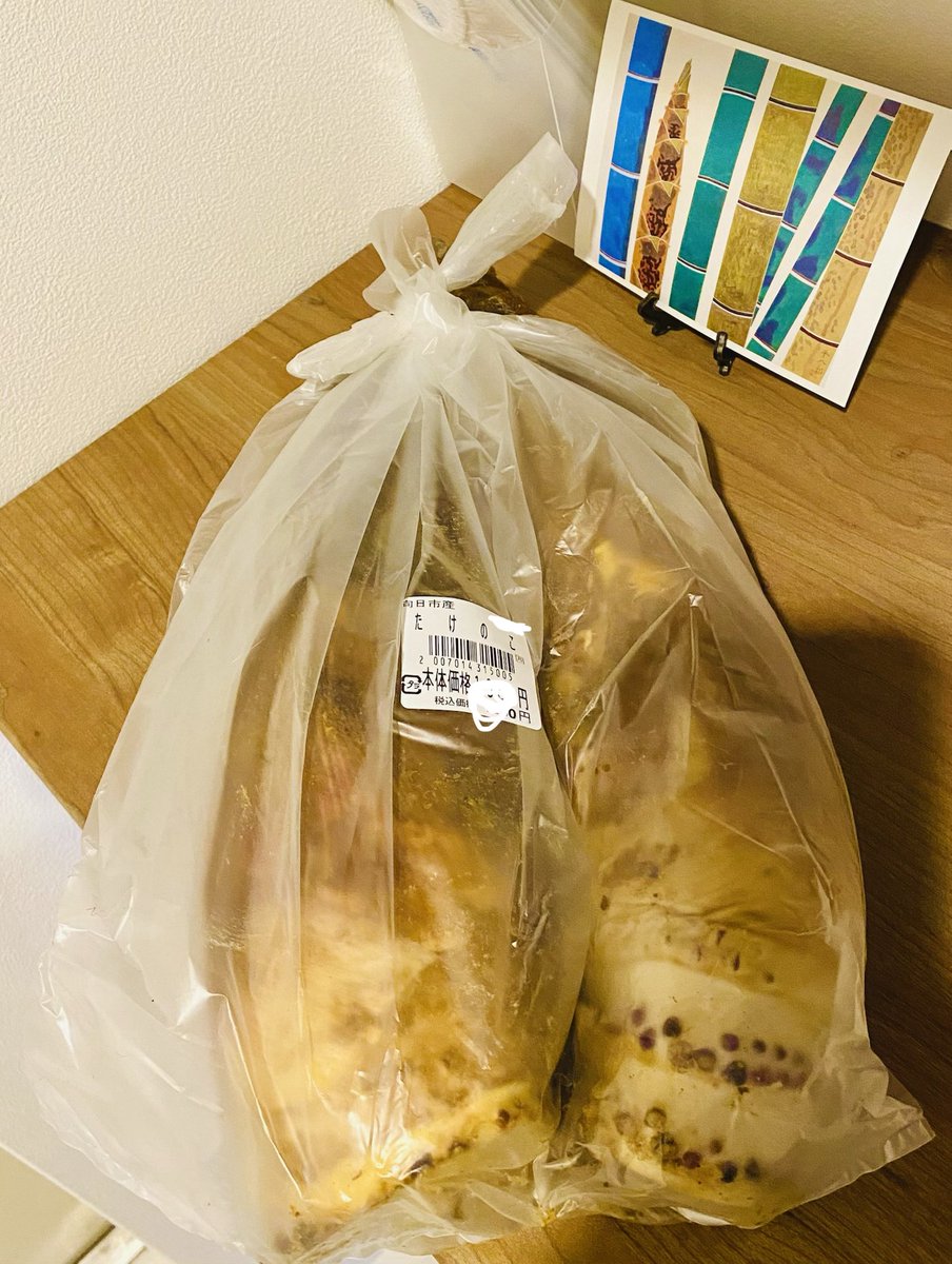 yuraguch's tweet photo. 今シーズン4回目のタケノコ下拵え。今日明日でいただく分以外は冷凍だね https://t.co/dBYcUoOiRb