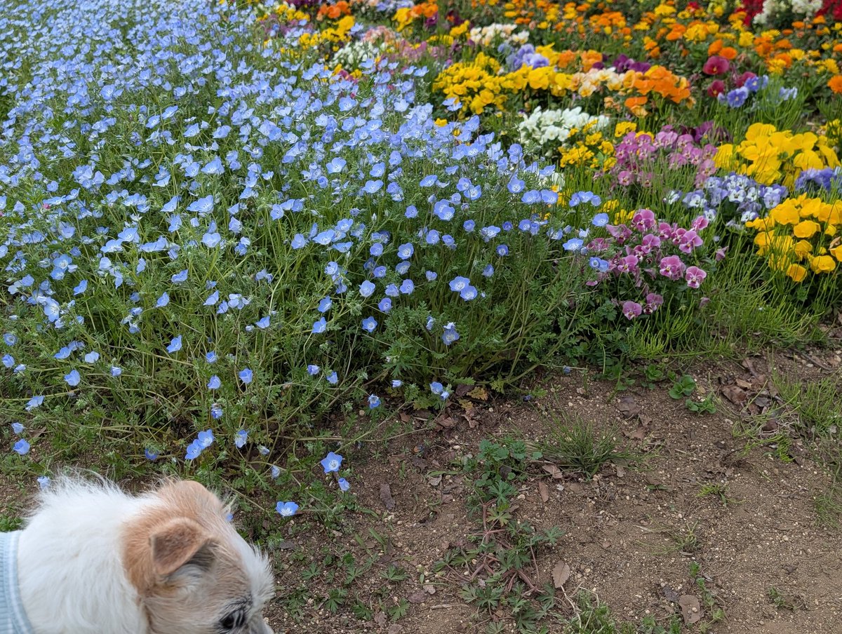 ちえこ tweet media