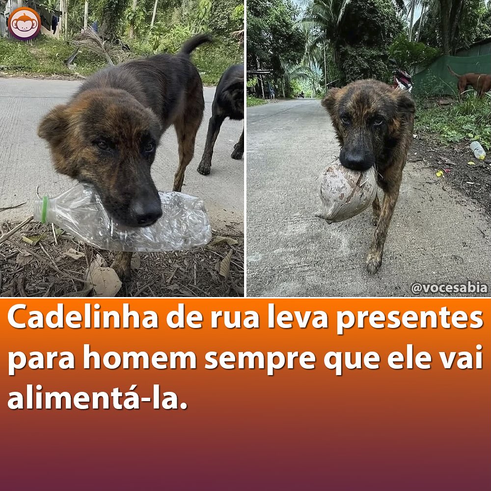 isso é tão bom sozinho que nem precisa de contexto tweet media