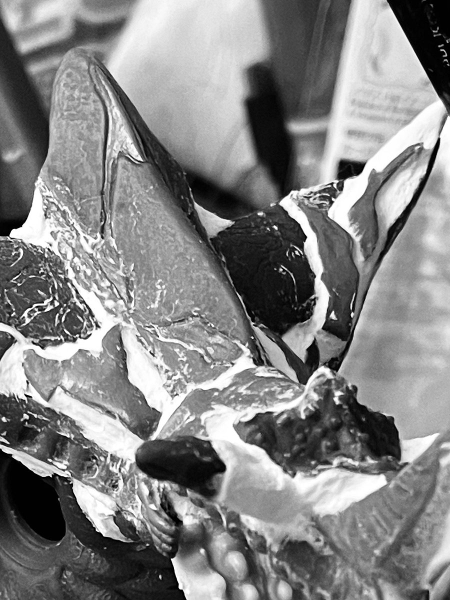 草加提督【日本サメ映画学会造型部】 tweet media