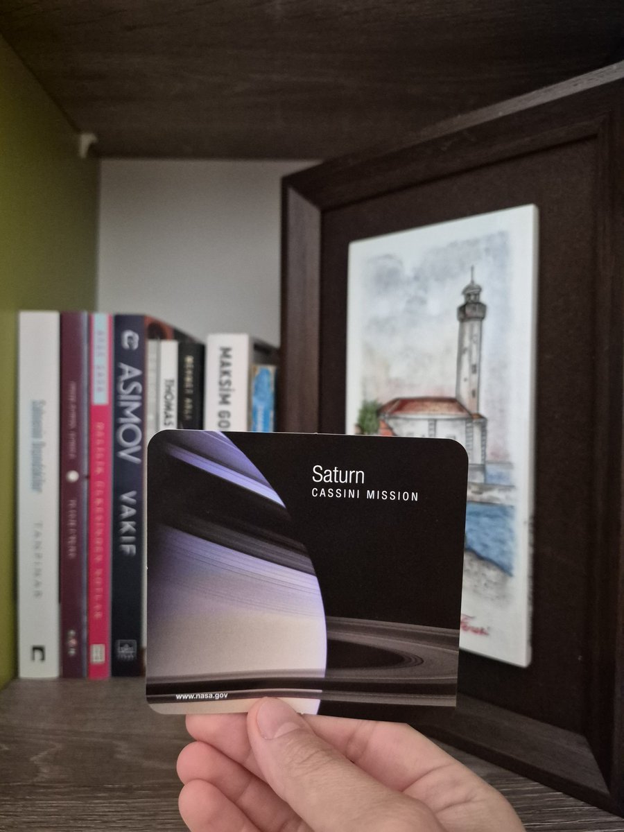 Asrın Nur Döner tweet media