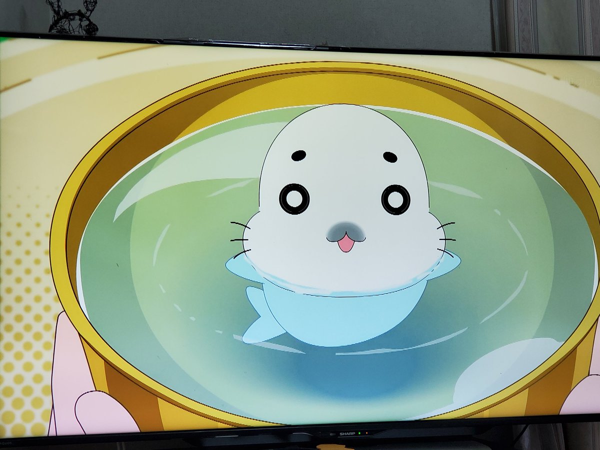 ごまちゃん ゴマちゃんホンポ