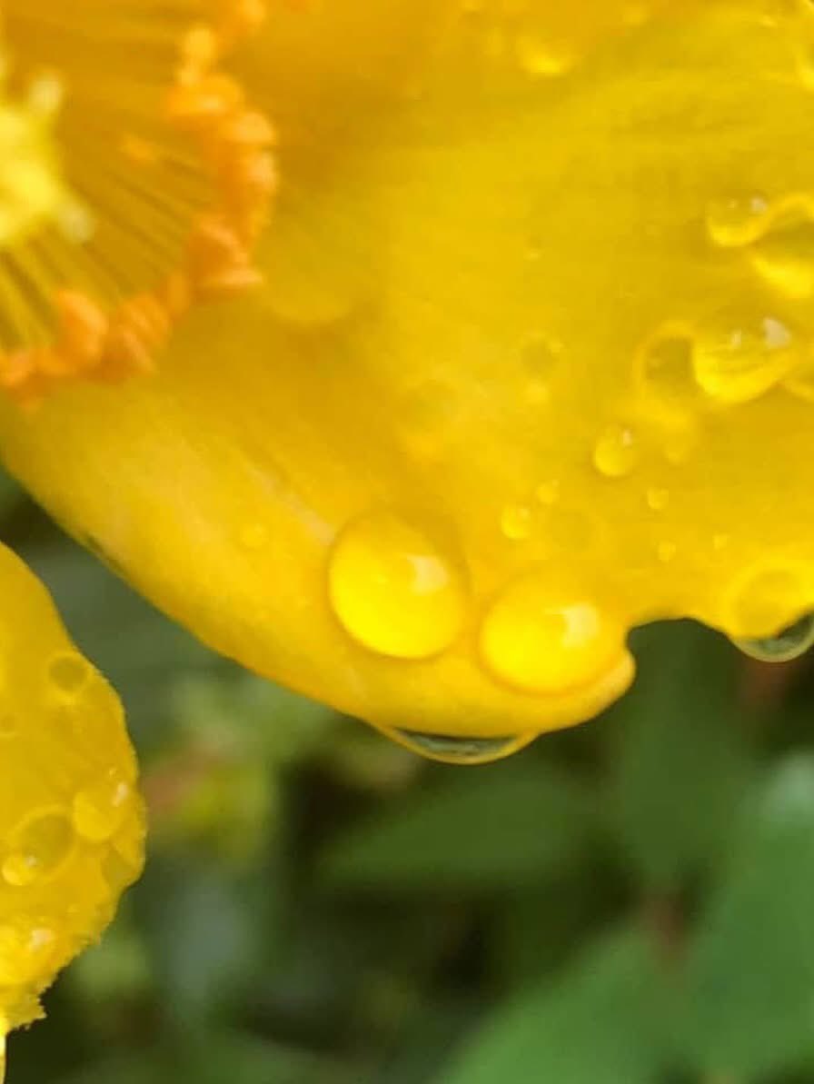 Untamed2612's tweet image. Lello from my gallery