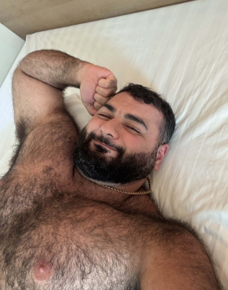 thebearishone tweet media