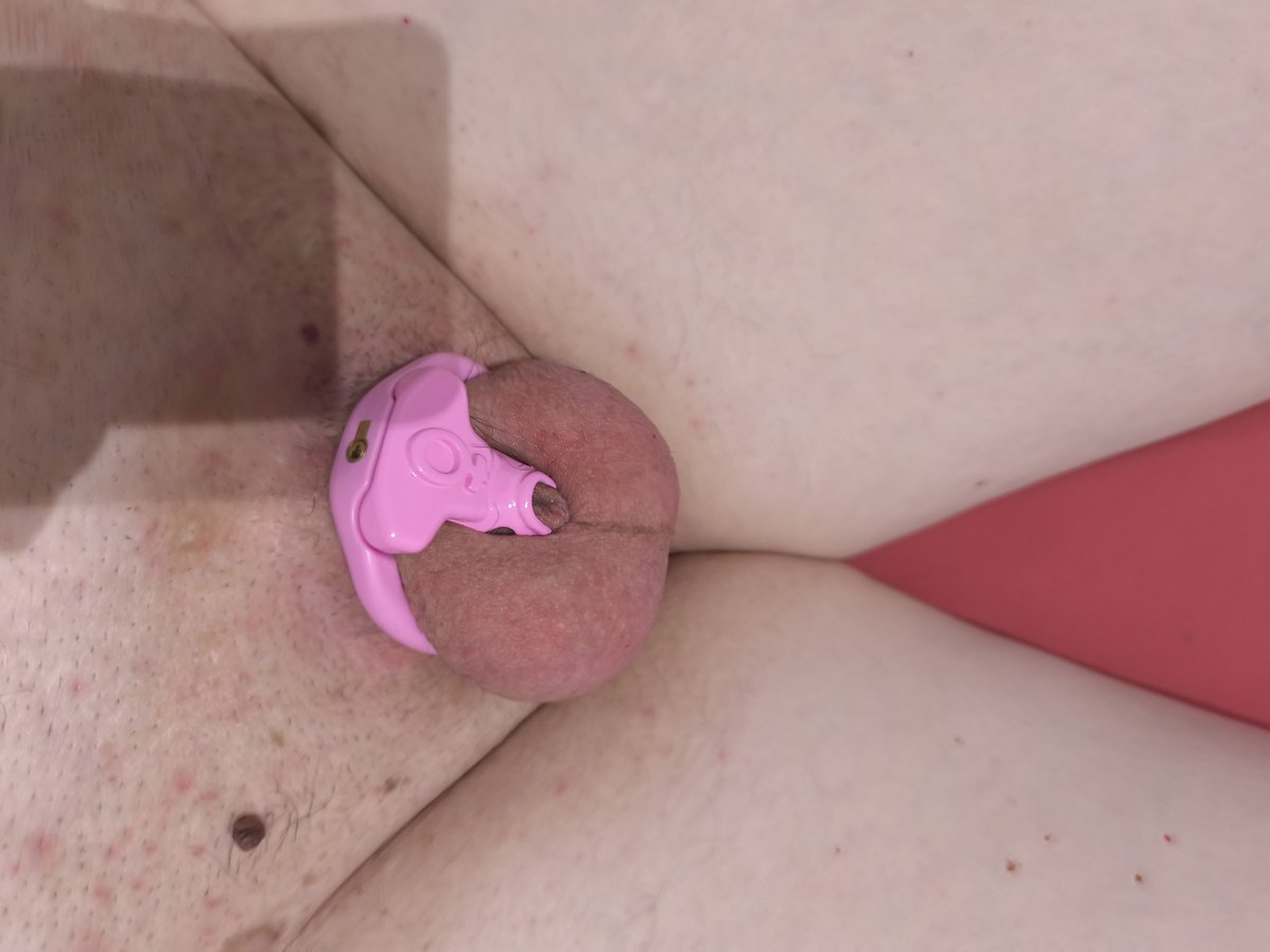 Thomas Meyer tweet media