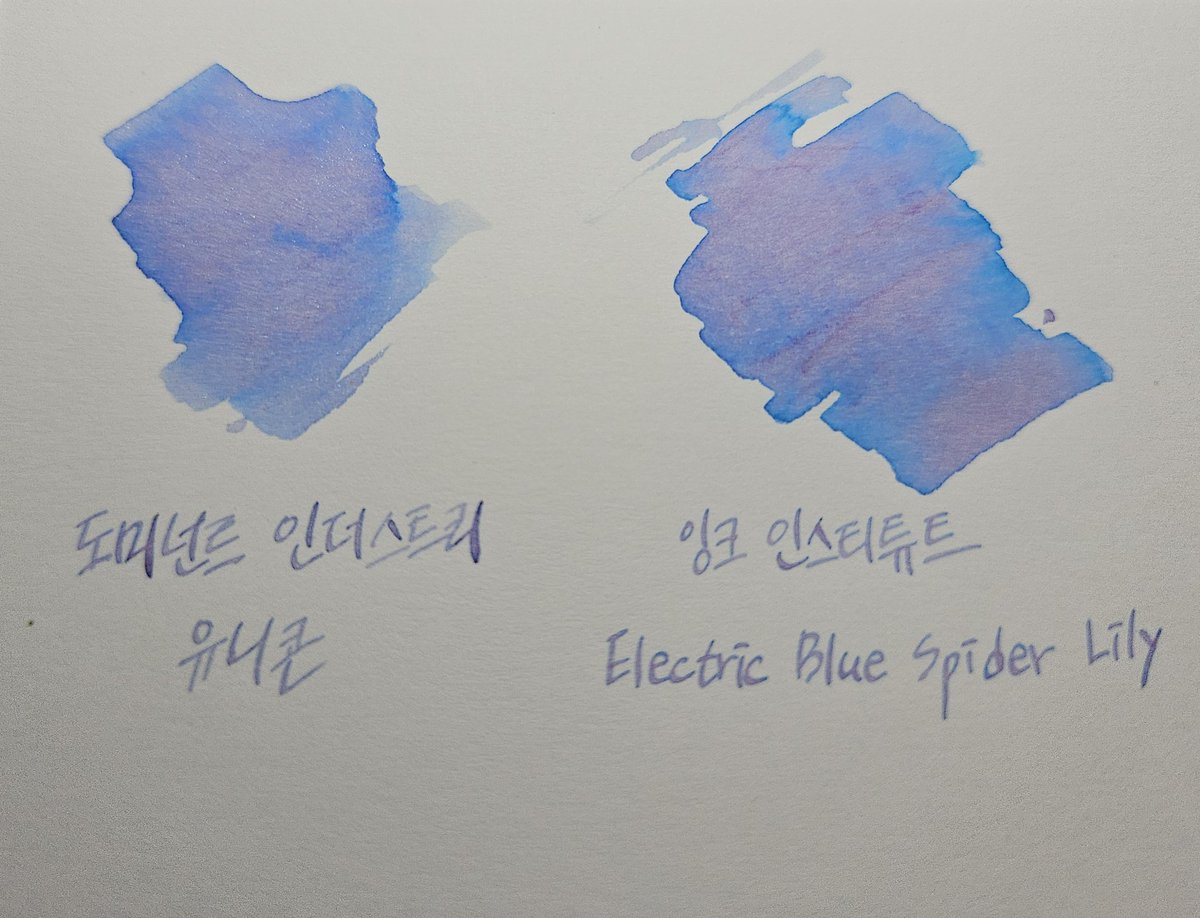 솔새 tweet media