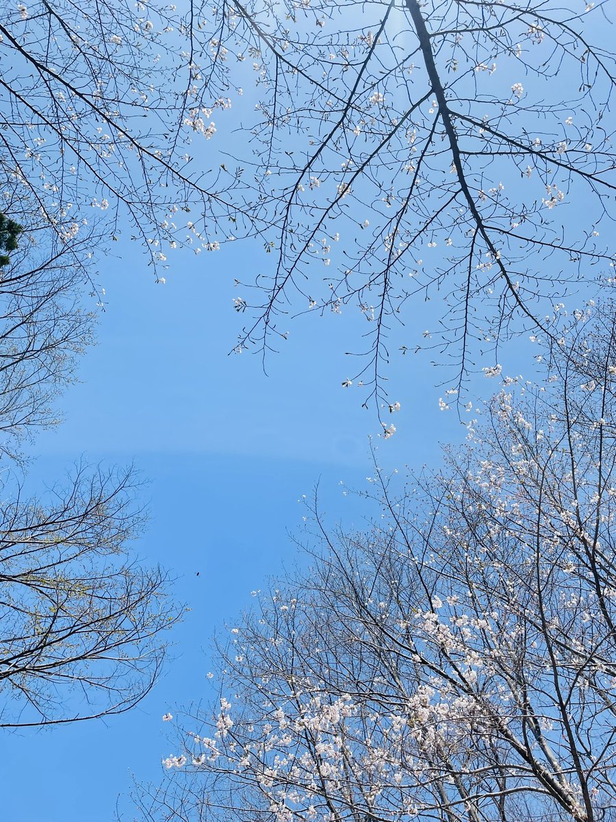 じっくりコトコト tweet media