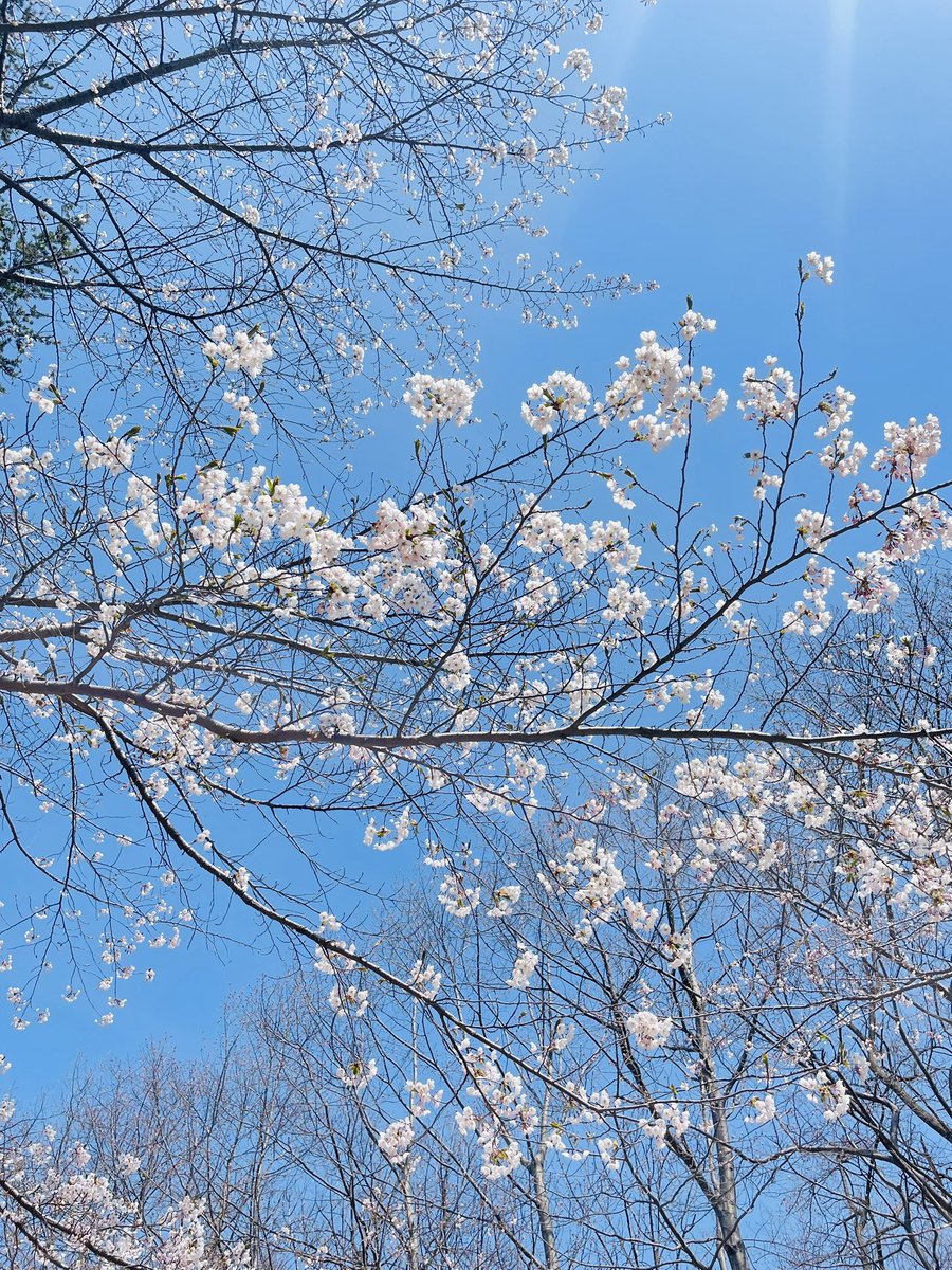 じっくりコトコト tweet media