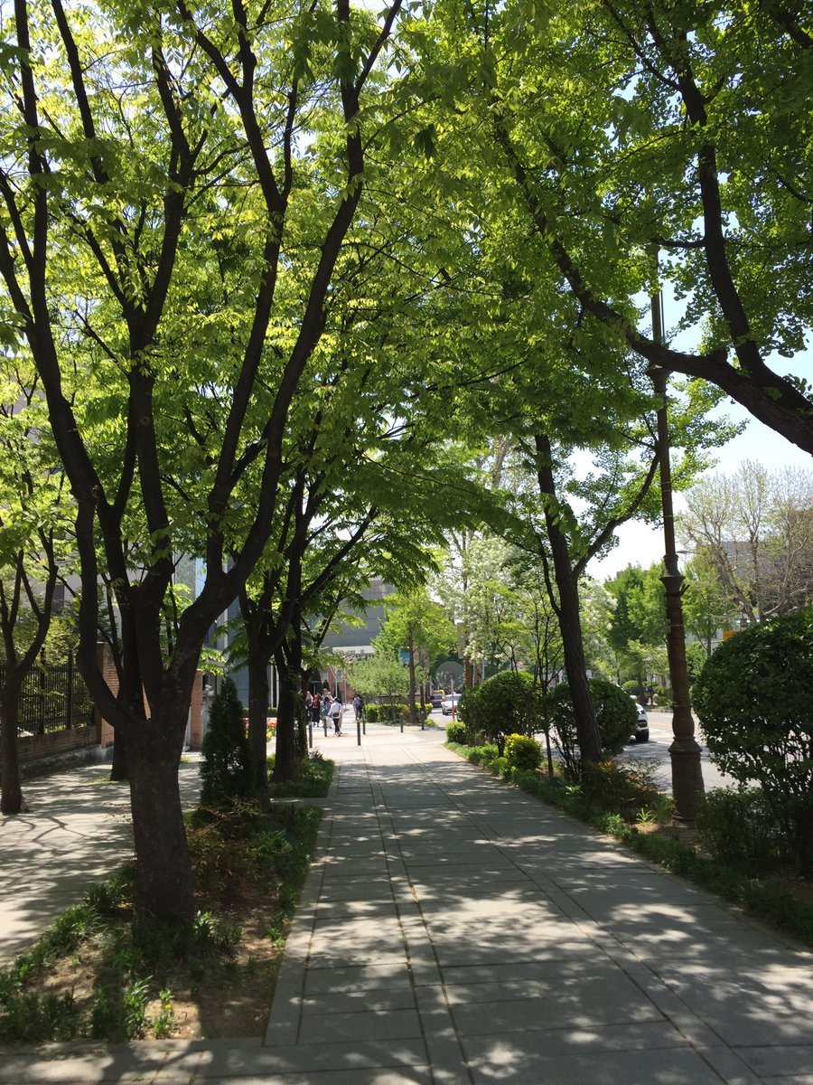 imo1226's tweet photo. #일상계트친소 https://t.co/jum0Pb9CCN
