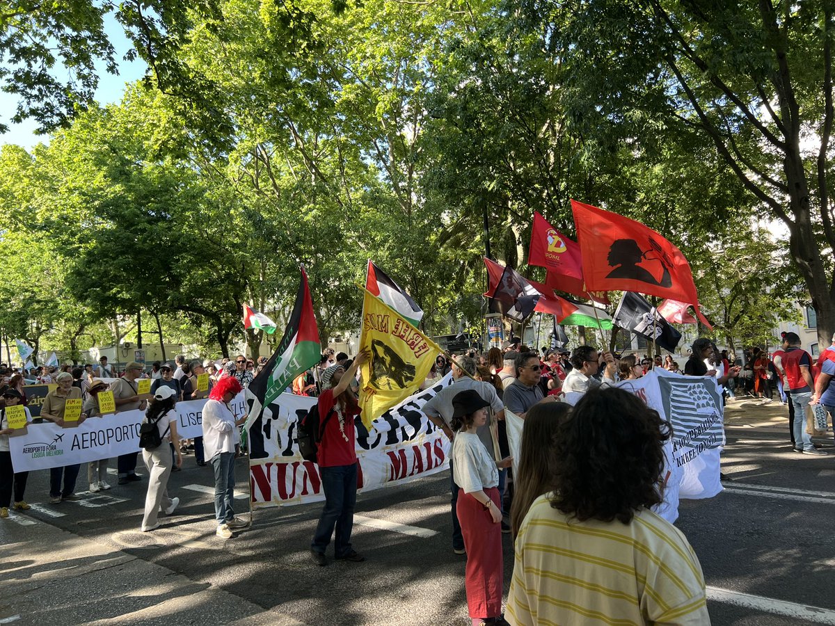 tabitamin | 世界ノマド旅 🍋 tweet media